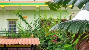 A two-story building with a green and yellow facade, a small shop with a red roof, and lush greenery including large leaves and flowering plants.
