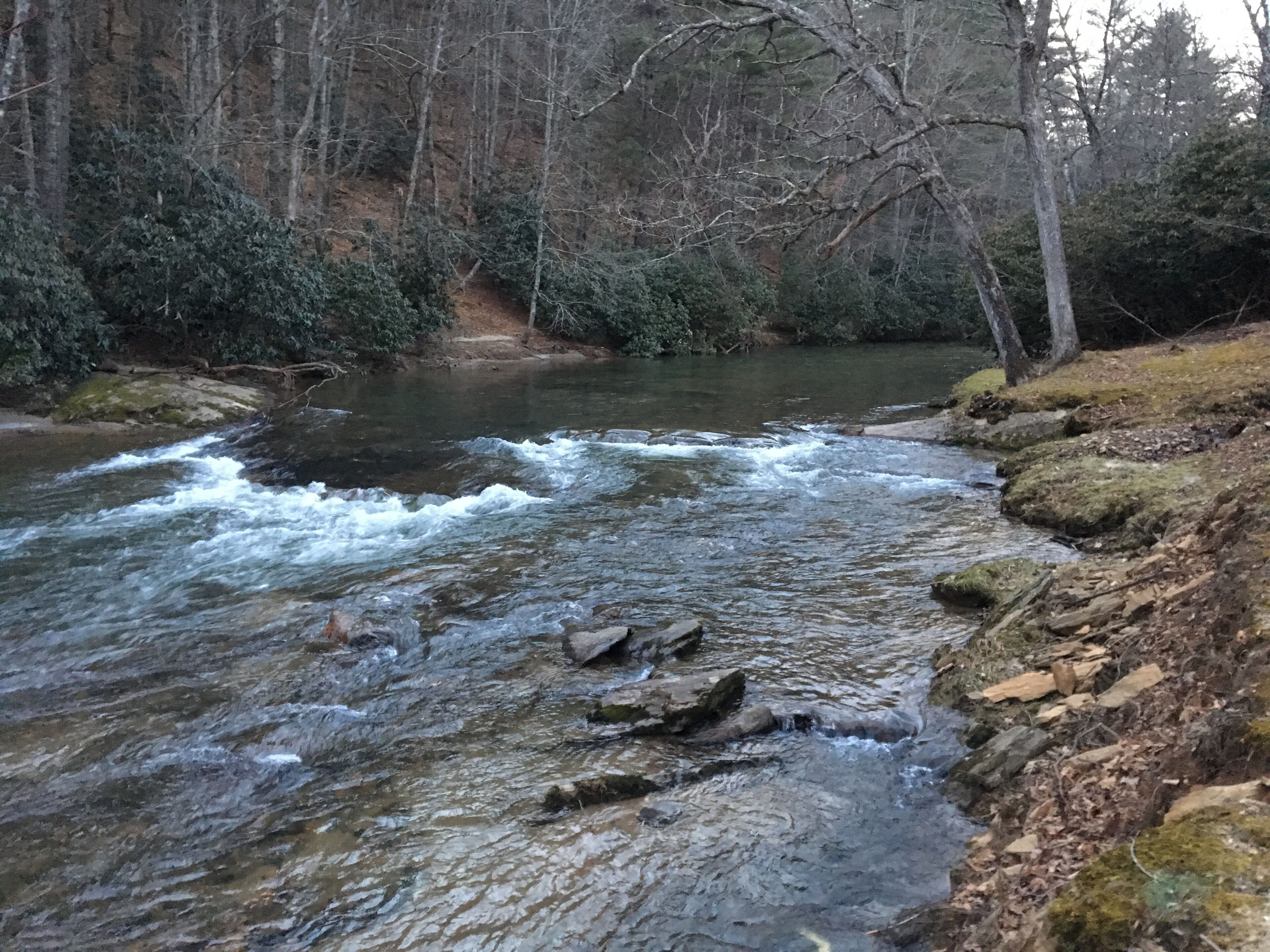 A river flowing through a forested area with rocky terrain and trees.