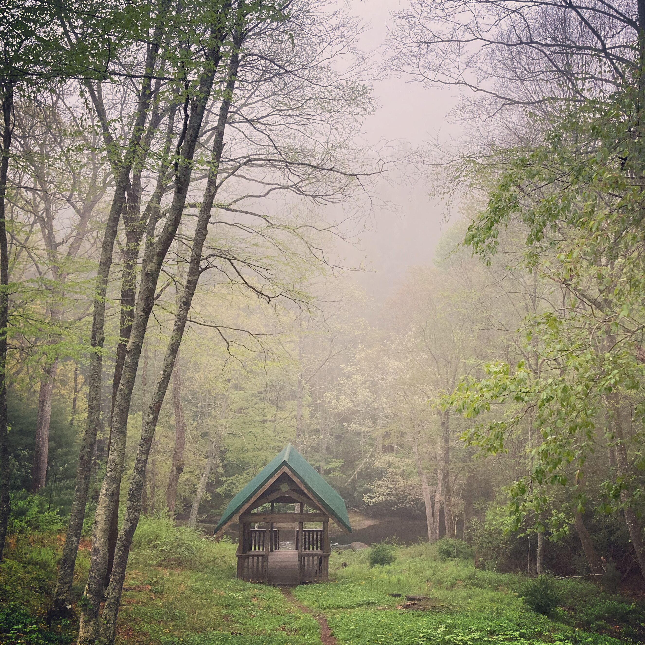 Eine Hütte mit grüner Dachbegrünung, umgeben von dichtem Wald.
