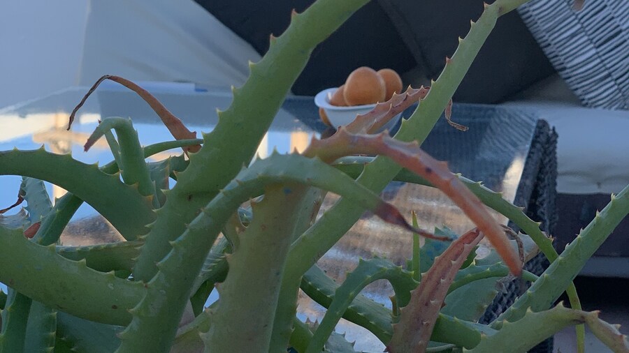 Appartement Lalla Ghita