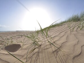 On the beach