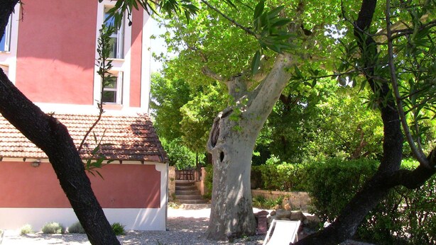 A building with a red facade and a tiled roof, surrounded by lush greenery and a tree with a large trunk. - Studio new condition independent garden, Avignon festival  (ORANGE)