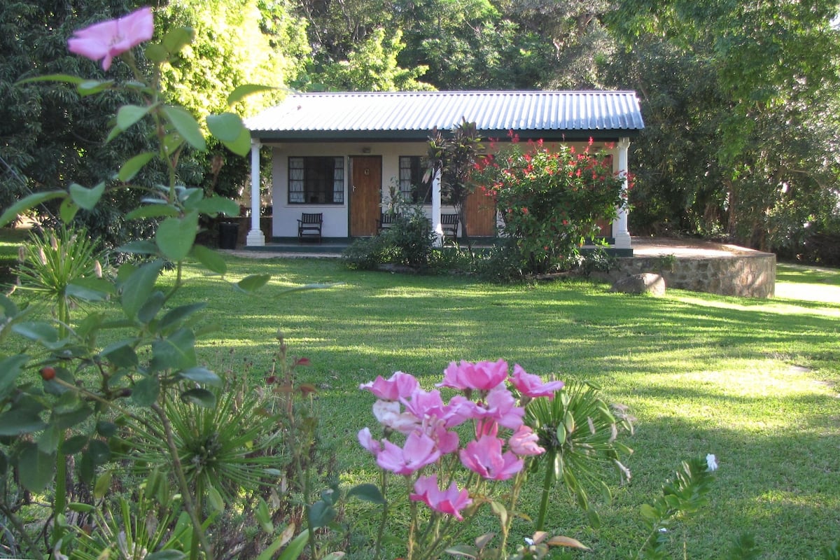 A house with a blue roof, surrounded by a well-maintained lawn and various plants.