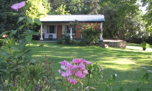 Cunas gratuitas, wifi y ropa de cama