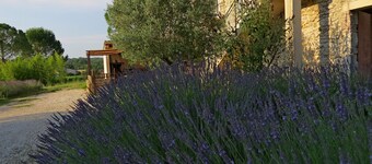 Häuschen in der ruhigen Landschaft gelegen