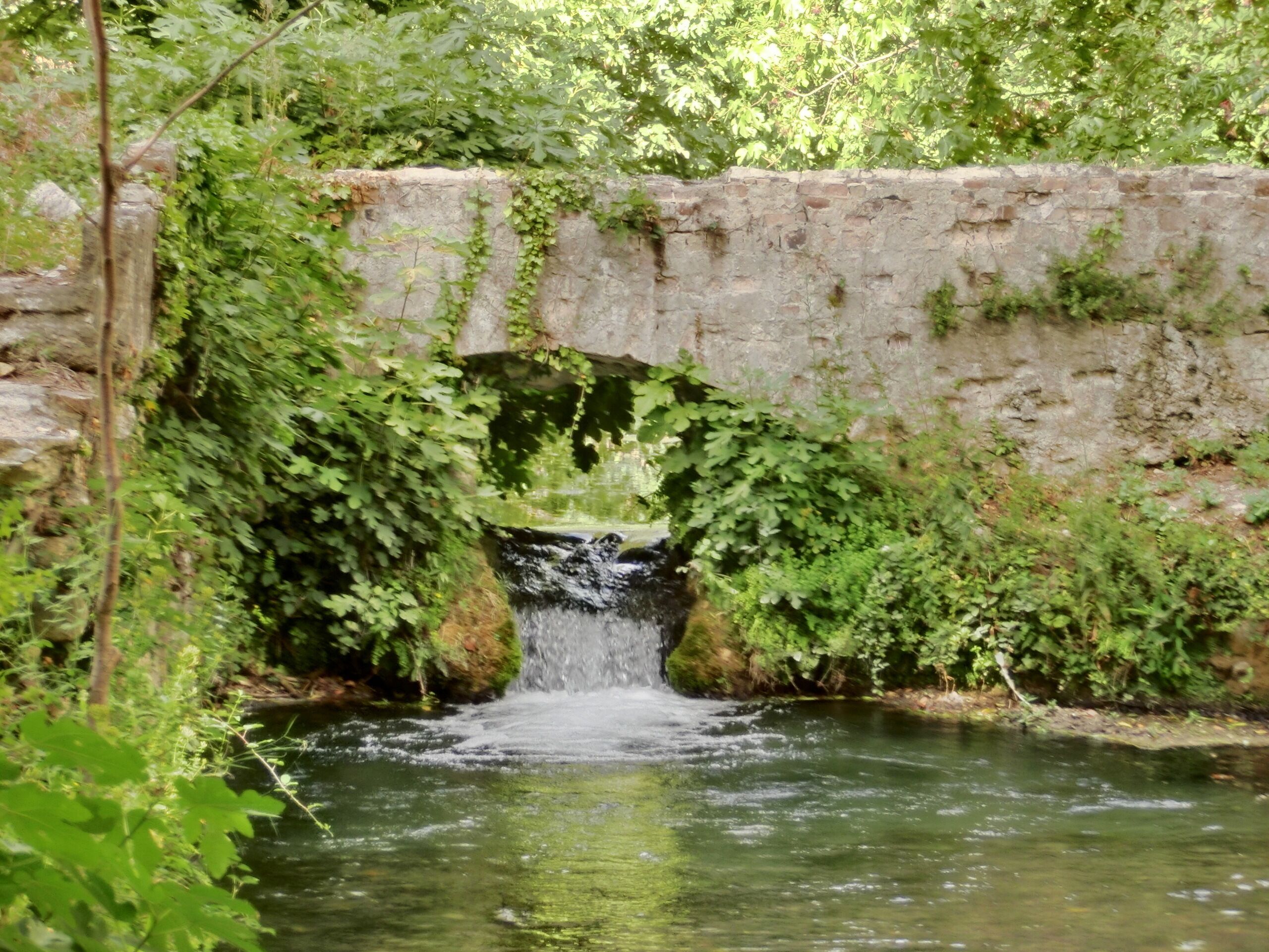 A stone bridge over a small stream with water flowing under it, surrounded by greenery.