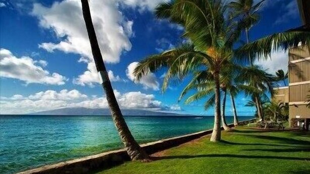 A beachfront view with palm trees and a clear sky.