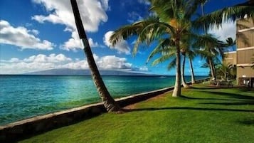 Camastros y toallas de playa