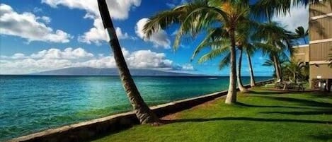 Sun-loungers, beach towels