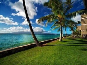 Chaises longues, serviettes de plage