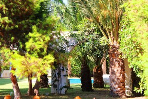 Jardín