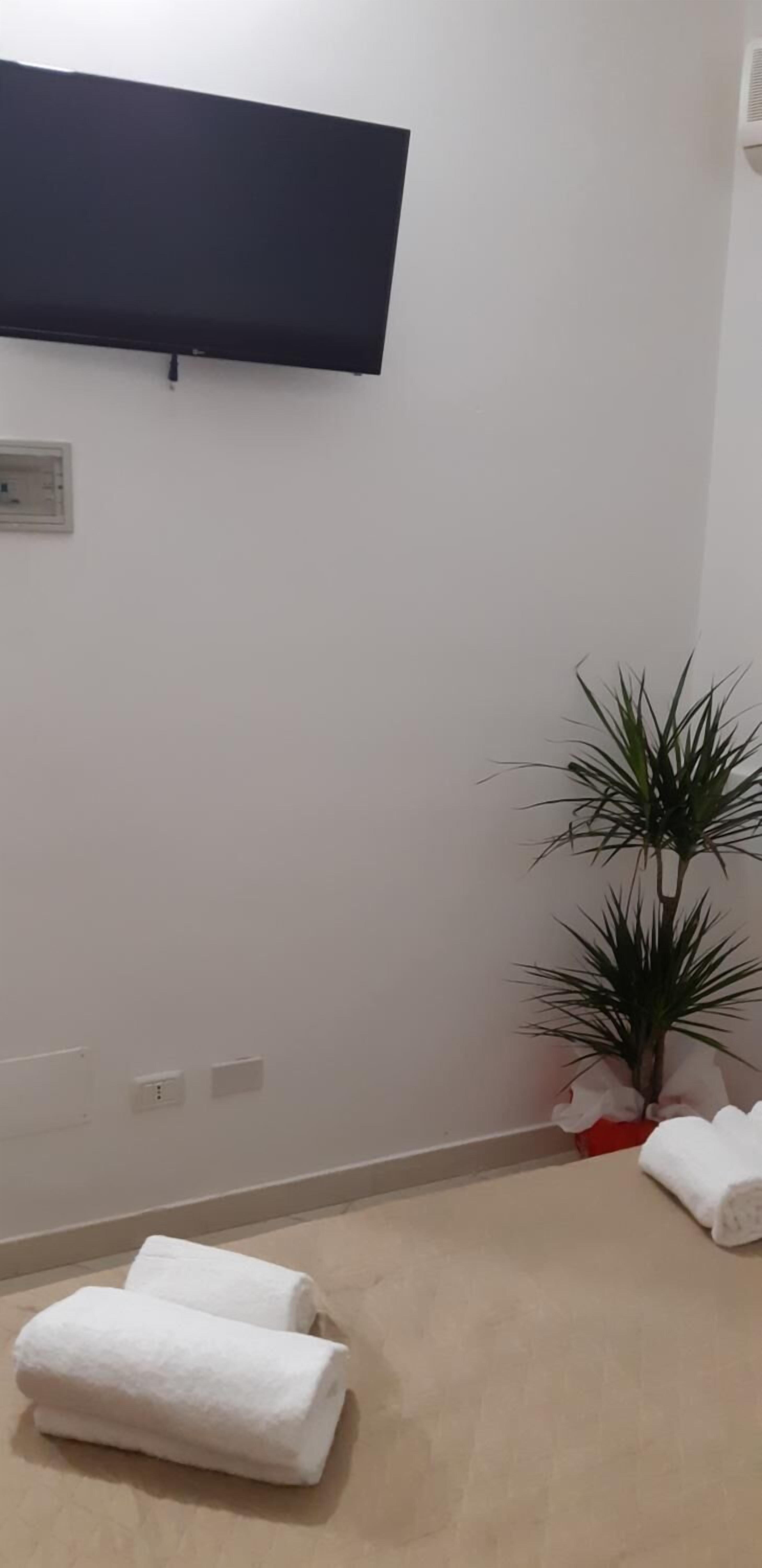 A room with a flat-screen TV mounted on the wall, a potted plant, and two rolled-up towels on the floor.