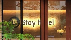 A hotel entrance with a 'Stay Hotel' sign, a potted plant, and a brick wall. - B Stay Hotel (Bangkok)