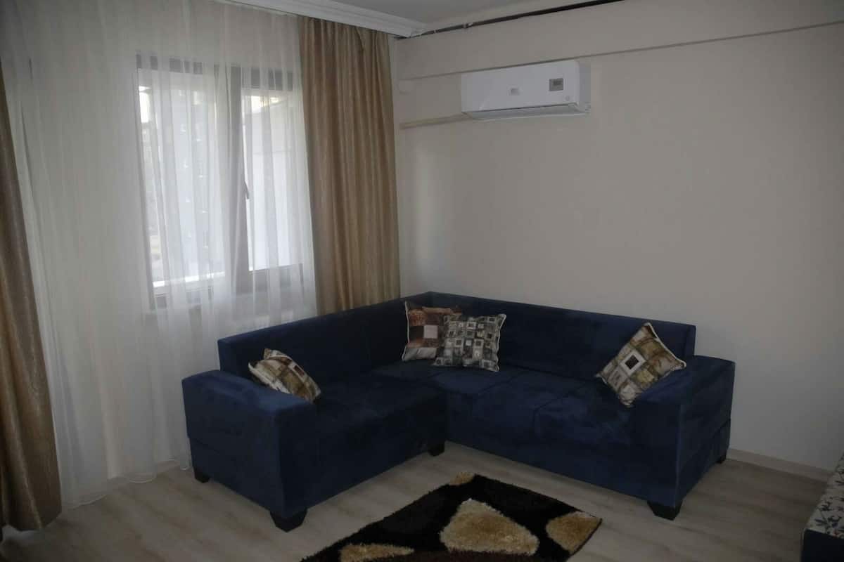 106-inch LCD TV with satellite channels, TV