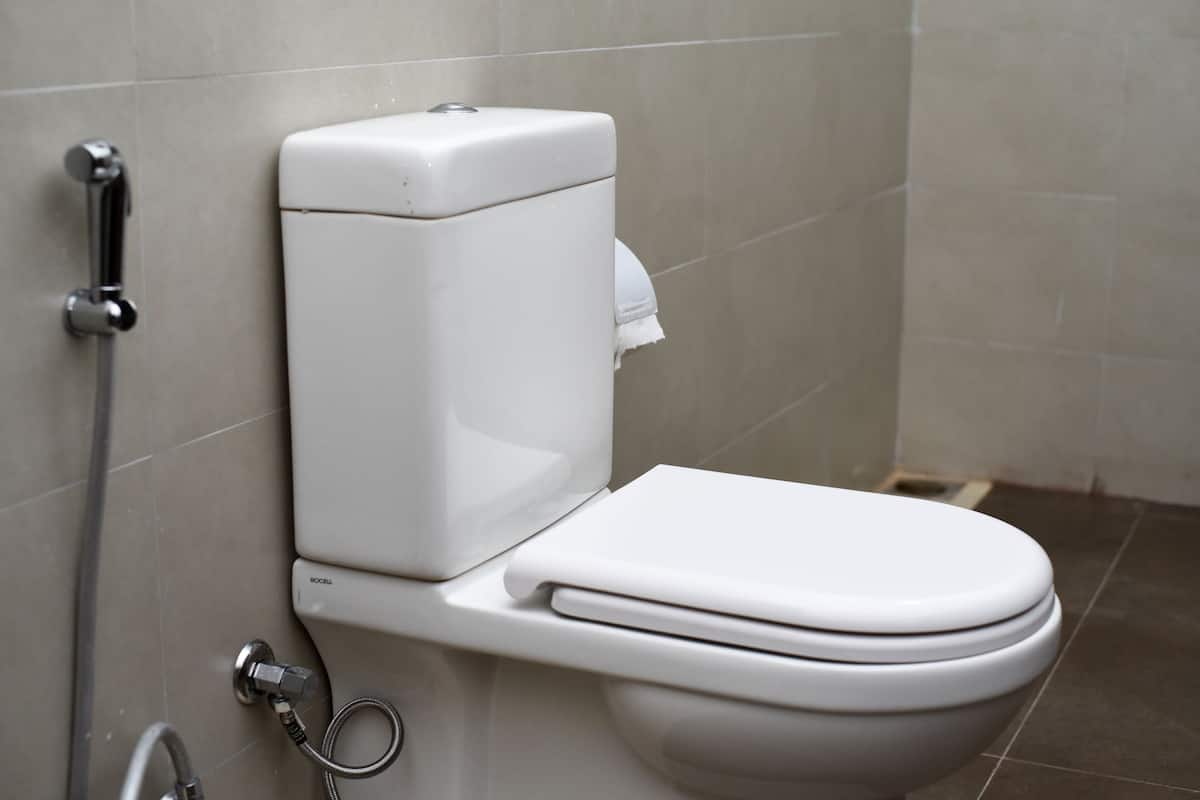 Ducha, cabezal de ducha tipo lluvia, artículos de tocador gratuitos