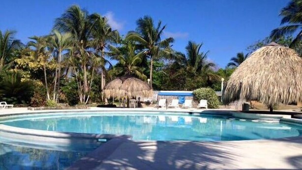 Una piscina con sillas de descanso y estructuras de techo de paja, rodeada de palmeras.