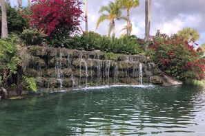Miscellaneous - Indulge at Harbor Towers, one of the BEST complexes on Siesta Key | Walk to Siesta Key Beach (Siesta Key)