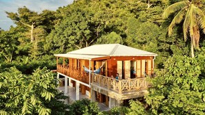 A wooden cabin with a balcony, surrounded by dense forest and a palm tree. - Las Palmas in Kitten's Warf (Providencia)