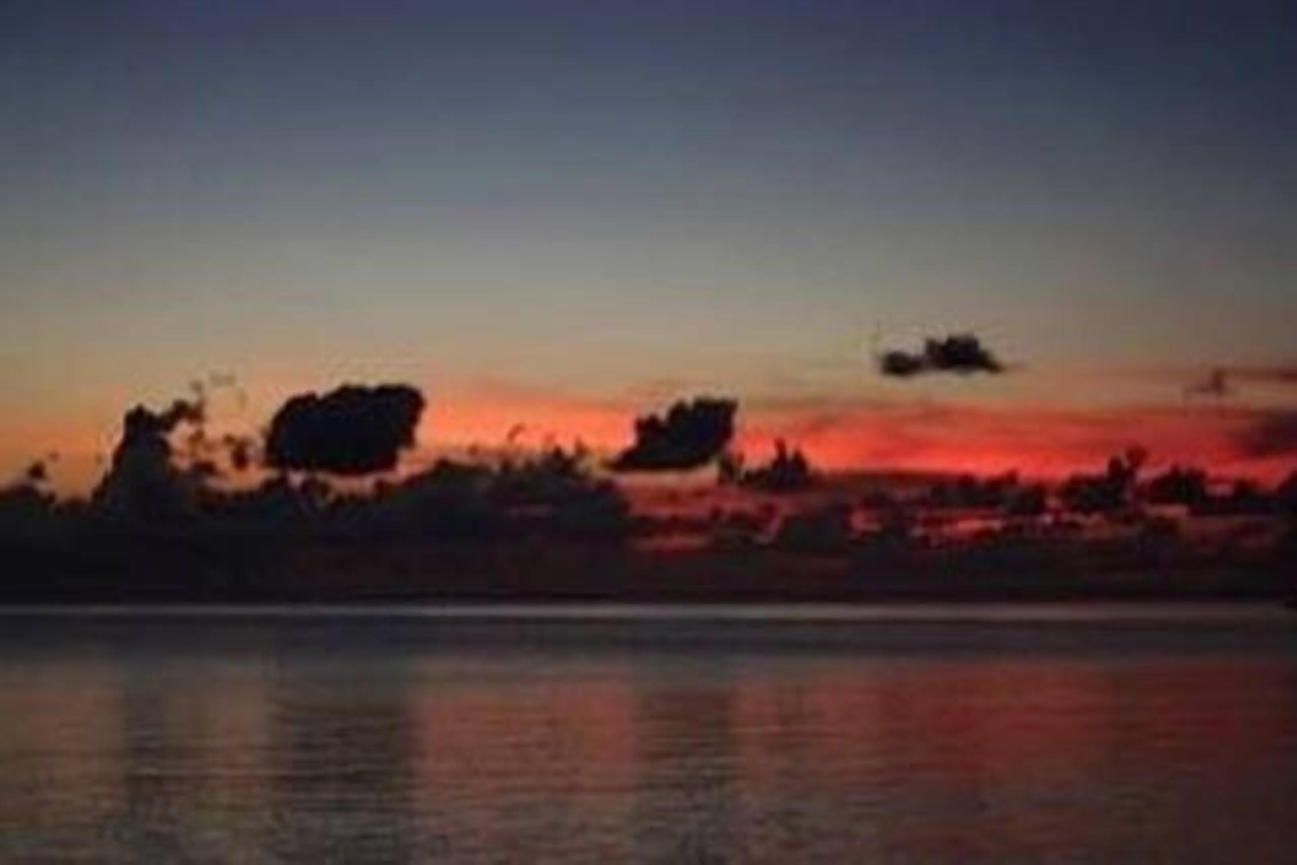 A sunset over a body of water with silhouettes of trees and a distant city skyline.