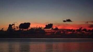 A sunset over a body of water with silhouettes of trees and a distant city skyline.