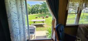 Smart TV, DVD player