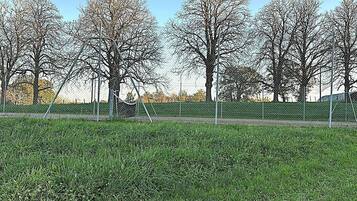 Een begraasd veld met een gaashek, bomen en een heldere lucht.