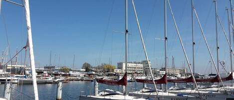 Marina