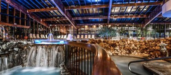 Luxe 10 guest Cabin/Skiing/Pools/Tennis/Gym/Hiking