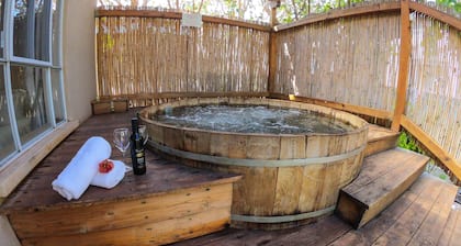 Oasis Of The Galilee
