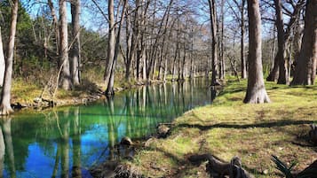 A serene river with tall trees reflecting in the water, surrounded by grassy banks.