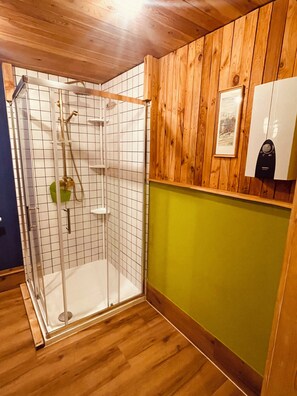 Shower, hair dryer, towels, soap - Apartment Vintage Home 55 (EA)