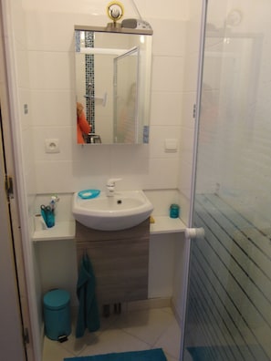 Bathtub, hair dryer, towels, toilet paper