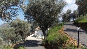 A gravel path leading to a small building with a tiled roof, surrounded by olive trees and greenery. - Alicudi Apartment - 2 places (Reitano, MESSINA)