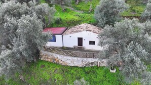 A white building with a red roof, surrounded by olive trees, and a stone wall. - Alicudi Apartment - 2 places (Reitano, MESSINA)