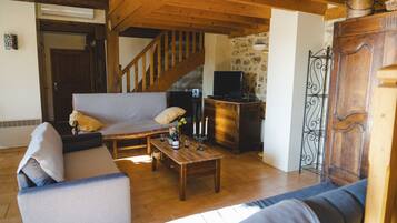 Télévision, cheminée, lecteur de DVD, livres