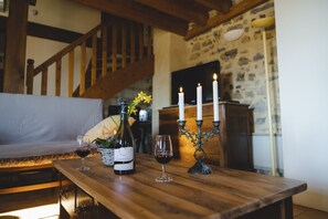 Interior - Swimming pool, Jacuzzi, air conditioning in the middle of vineyards (Gard)