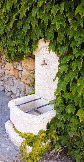 Exterior detail - Swimming pool, Jacuzzi, air conditioning in the middle of vineyards (Gard)