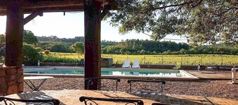 Swimming pool, Jacuzzi, air conditioning in the middle of vineyards