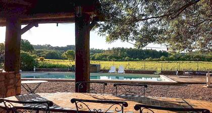 Swimming pool, Jacuzzi, air conditioning in the middle of vineyards