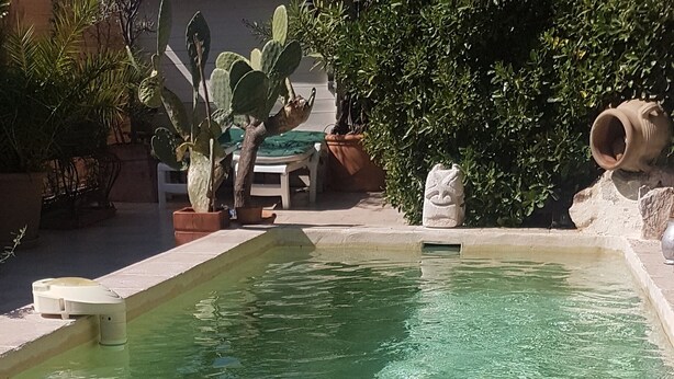 Una piscina nítida amb peus relaxats al costat, envoltada de plantes en testos i una escultura de pedra.