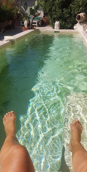 A clear pool with feet resting at the edge, surrounded by potted plants and a stone sculpture. - Restored former sheepfold, swimming pool/spa. Quiet, close to the sea and Spain (Sorède)