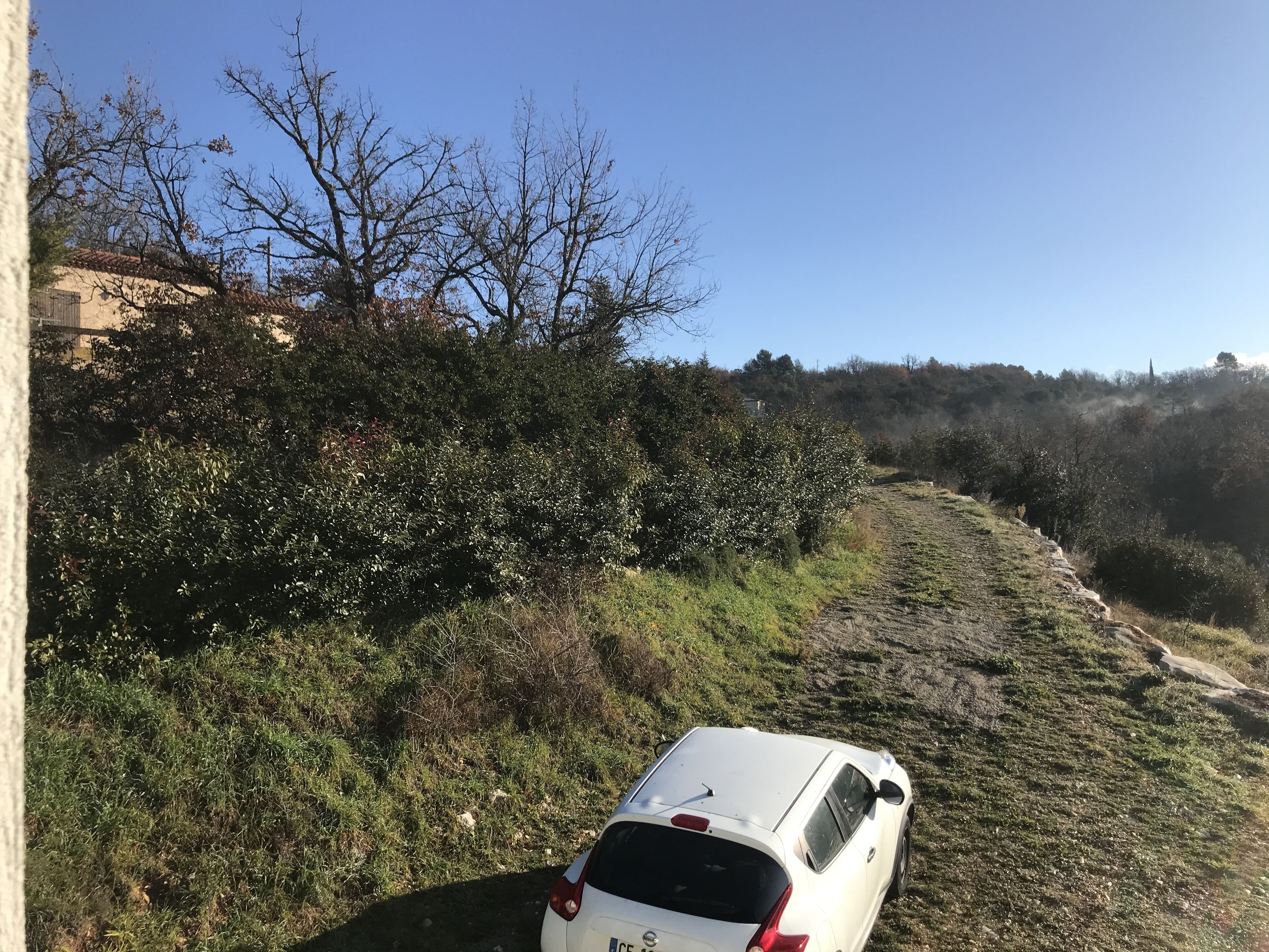 A white car parked on a dirt path surrounded by dense vegetation and trees.