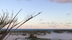 Platja de sorra, vegetació escassa i cel serè.