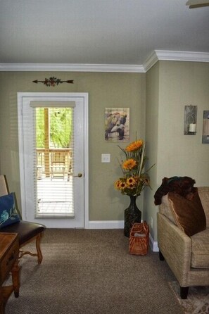 Televisor intel·ligent, llar de foc i llibres 