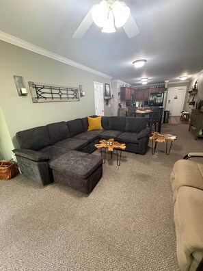 Smart TV, fireplace, books