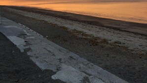 Une plage avec une promenade en béton qui mène à l’eau.