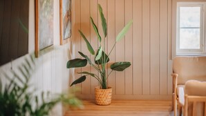 Una habitación con piso de madera, una maceta tejida, un sofá color beige y una ventana con persianas.