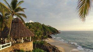 A beach with a thatched-roof structure, palm trees, and a view of the ocean. - Bungalows Lydia (San Francisco)