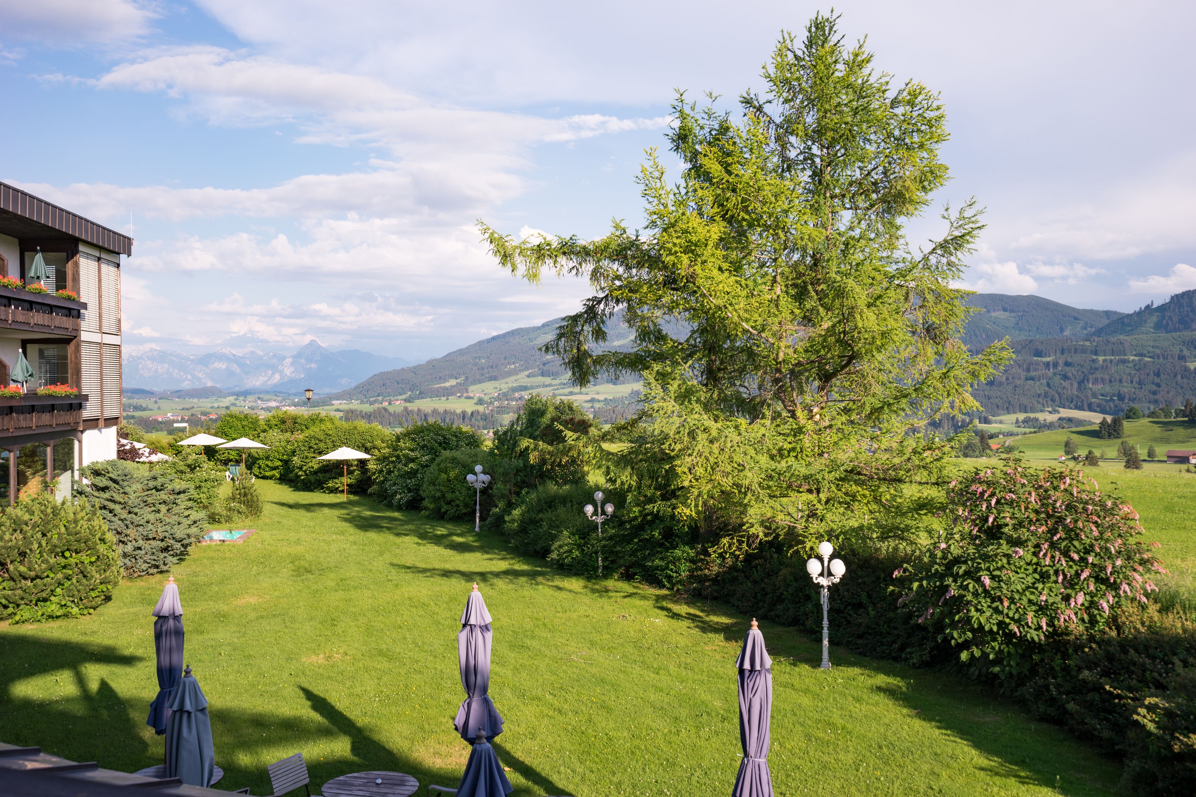 Vista desde la habitación