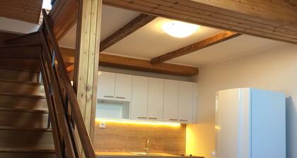 Uusi ja mukava, täydellisesti remontoitu